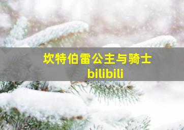 坎特伯雷公主与骑士 bilibili